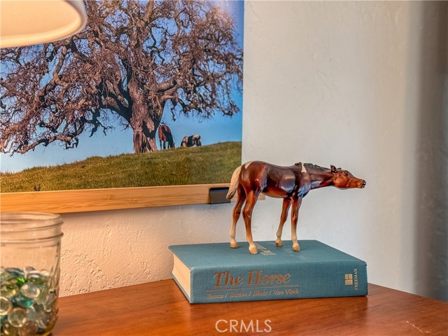 Detail Gallery Image 51 of 64 For 5275 State Highway 49, Mariposa,  CA 95338 - – Beds | – Baths