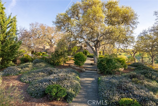 Detail Gallery Image 56 of 63 For 2985 Warm Springs Ln, Templeton,  CA 93465 - 4 Beds | 4/1 Baths