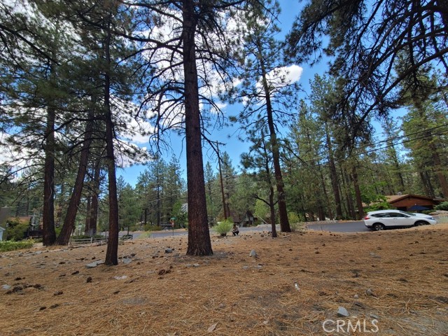 Detail Gallery Image 2 of 3 For 0 Lodgepole Dr, Wrightwood,  CA 92397 - – Beds | – Baths