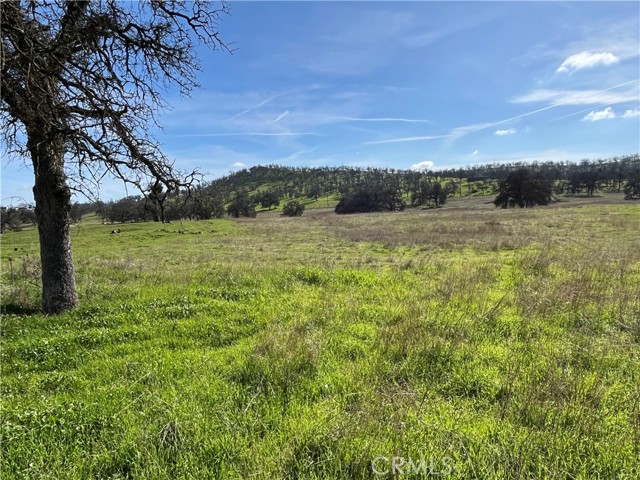 Detail Gallery Image 2 of 17 For 2463 Old Hwy, Catheys Valley,  CA 95306 - – Beds | – Baths