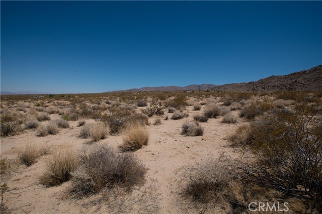 Detail Gallery Image 2 of 5 For 1 Wolfe Rd, Twentynine Palms,  CA 92277 - – Beds | – Baths