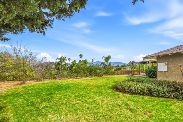 Detail Gallery Image 42 of 49 For 1631 Benita Marie Crest, Redlands,  CA 92373 - 3 Beds | 2 Baths