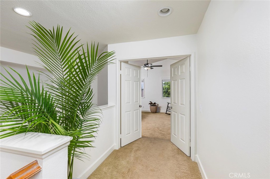 MLS #SW25260117 image #13