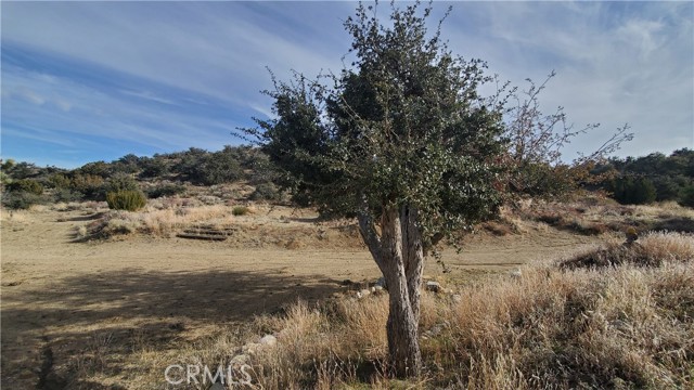 MLS #SR25242278 image #29