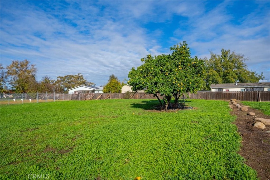 MLS #SN25275194 image #33