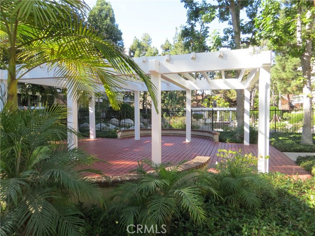water garden 1