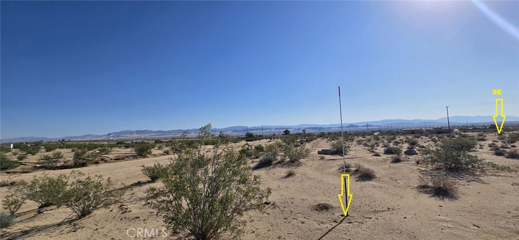 MLS #DW25164109 image #5
