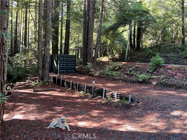 Detail Gallery Image 28 of 40 For 16125 Bittner Rd, Occidental,  CA 95465 - 4 Beds | 2 Baths