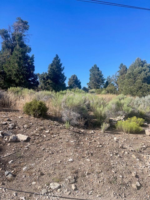 MLS #SB25062874 img 2