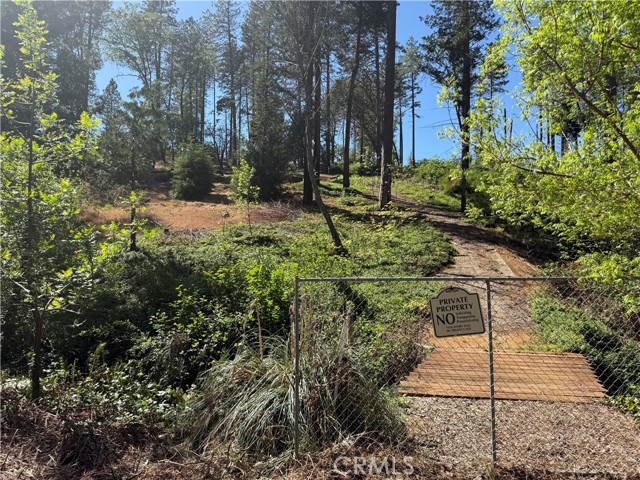 Front Image Thumbnail for CRSN26073129