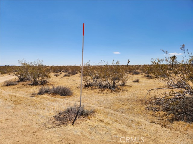 Detail Gallery Image 6 of 9 For 15 Ac Bowman Trl, Joshua Tree,  CA 92252 - – Beds | – Baths