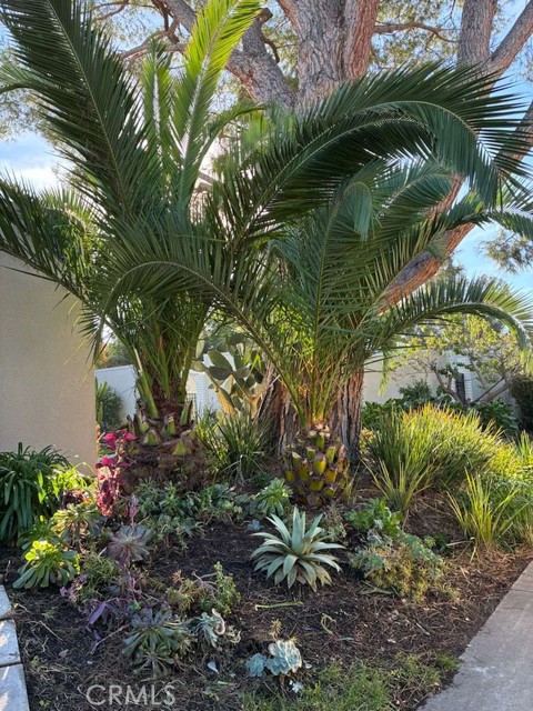 Detail Gallery Image 23 of 25 For 2091 Ronda Granada #D,  Laguna Woods,  CA 92637 - 3 Beds | 2 Baths