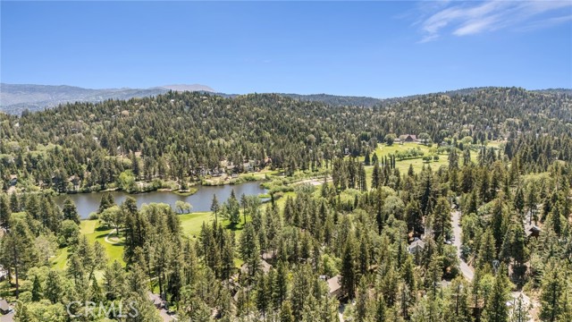765 Del Norte Lane, Lake Arrowhead CA: https://media.crmls.org/medias/dd425caa-9023-4e0a-bf9b-4a456d95bc4a.jpg