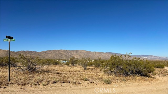 702 Bell Road, Landers CA: https://media.crmls.org/medias/dd439427-1503-4134-bcfb-173c403b888c.jpg