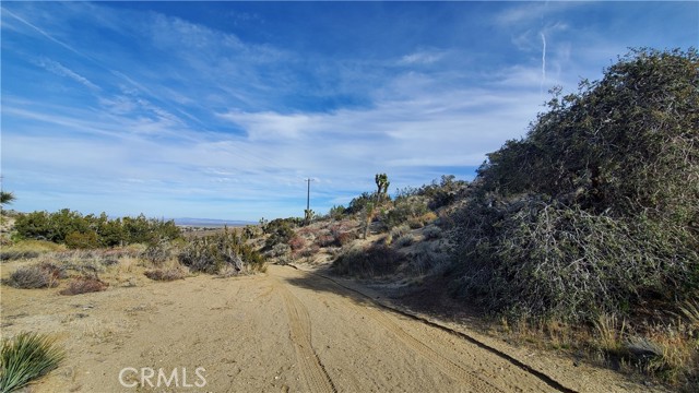 MLS #SR25242278 image #7