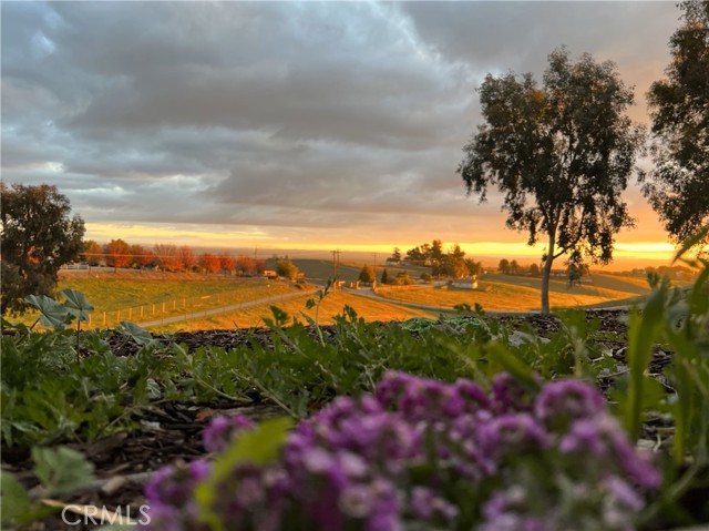 Detail Gallery Image 51 of 51 For 6095 Vista Serrano, Paso Robles,  CA 93446 - 4 Beds | 2 Baths