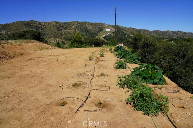 Detail Gallery Image 49 of 60 For 8321 Overview Ct, Yucaipa,  CA 92399 - 5 Beds | 5/1 Baths