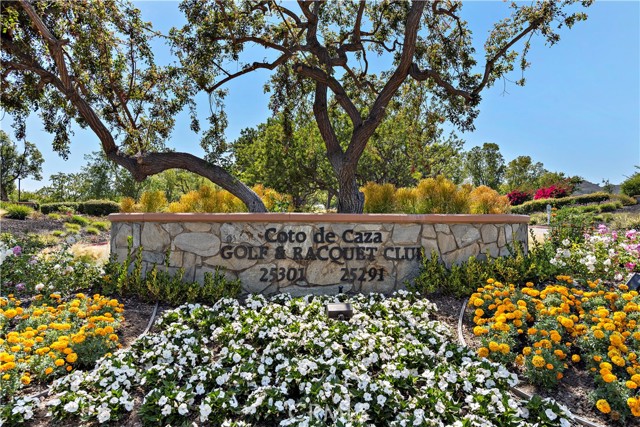 58 Long View Road, Coto de Caza CA: https://media.crmls.org/medias/dd4f6c03-0db7-4ef9-a1cc-fe7a1745464b.jpg