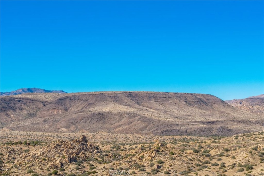 MLS #JT25250010 image #45