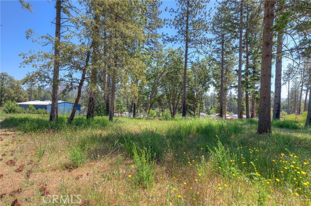Detail Gallery Image 9 of 12 For 9142 Skyway, Paradise,  CA 95969 - – Beds | – Baths