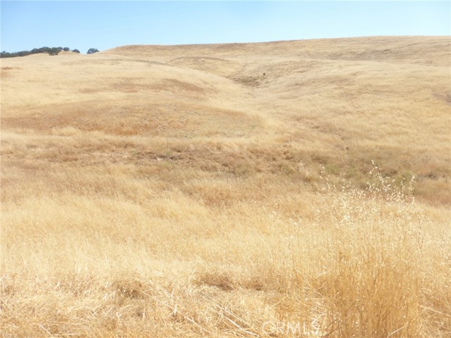 Detail Gallery Image 12 of 42 For 0 Douglas Rd. (Lots 40-43), San Miguel,  CA 93451 - – Beds | – Baths