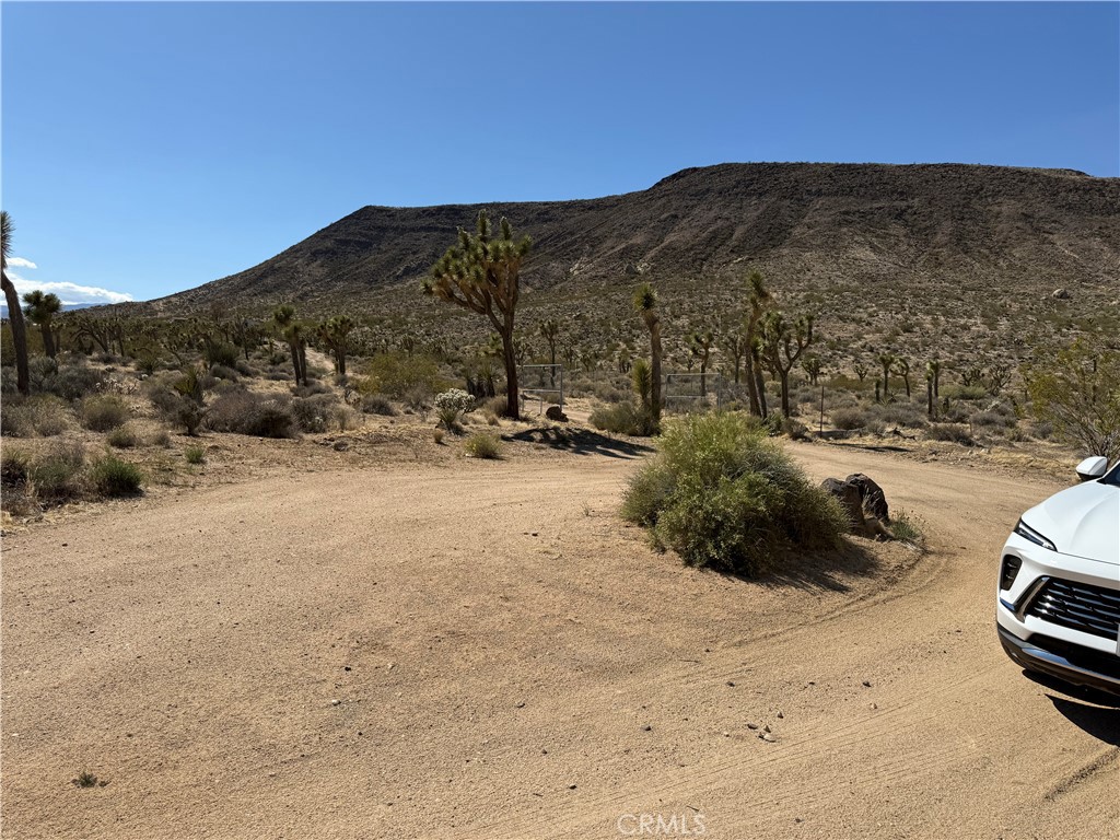 MLS #JT25103946 image #1