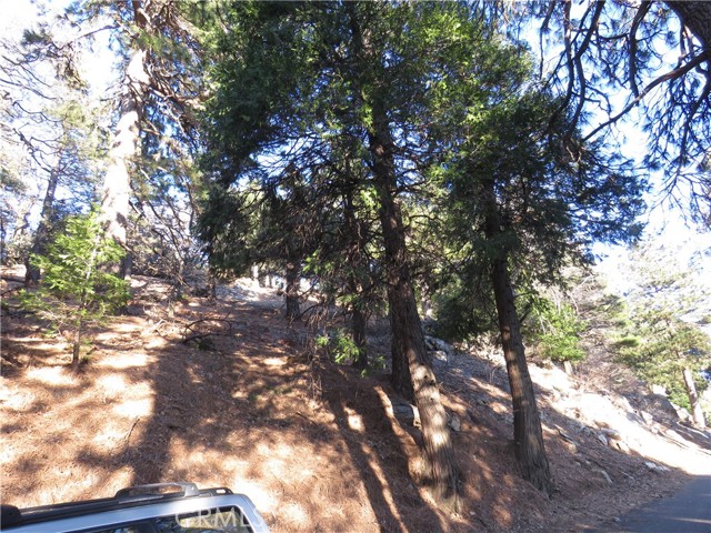 0 Peak Circle, Cedarpines Park, California 92322, ,Land,For Sale,0 Peak Circle,CRCV23013750