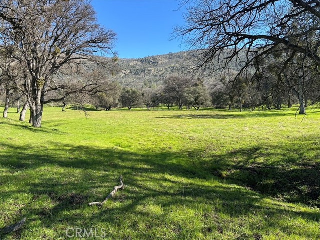 Detail Gallery Image 10 of 32 For 471 Ac - Hwy 49n, Mariposa,  CA 95338 - – Beds | – Baths