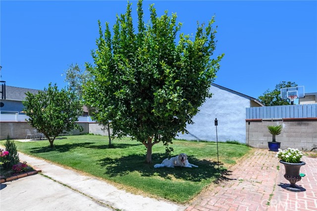 321 N Keystone Street, Burbank CA: https://media.crmls.org/medias/dd84a5a1-f3ff-43a8-a092-7aaf14cfbe3c.jpg