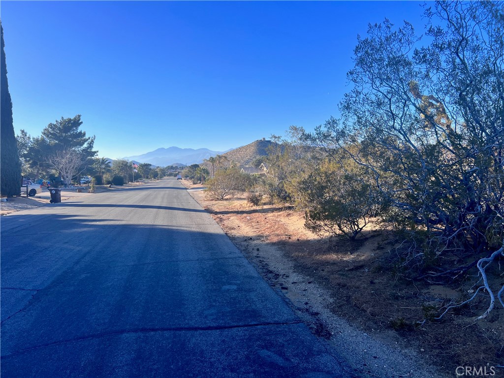MLS #JT25185661 image #15