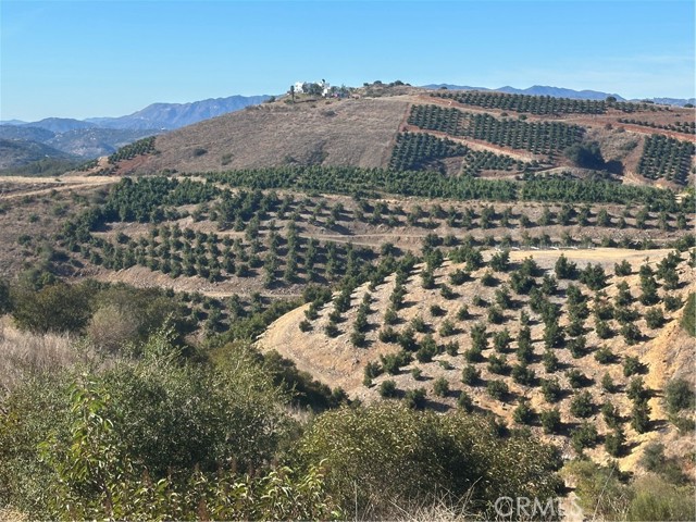 Front Image Thumbnail for CRPW26063901