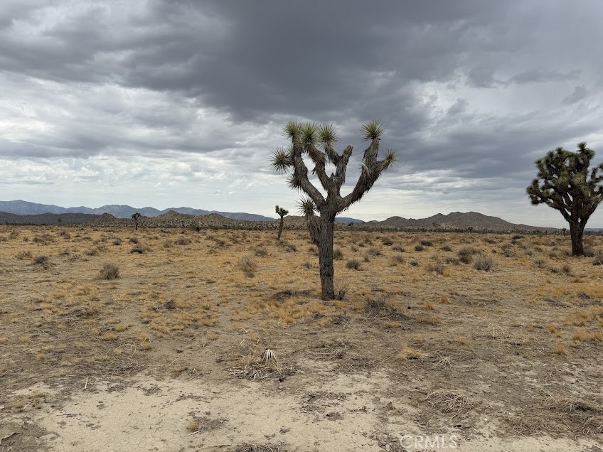 MLS #SR26165095 image #32
