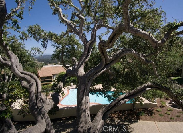 Detail Gallery Image 28 of 34 For 2308 Golden Oaks Ln, Monterey,  CA 93940 - 2 Beds | 1 Baths