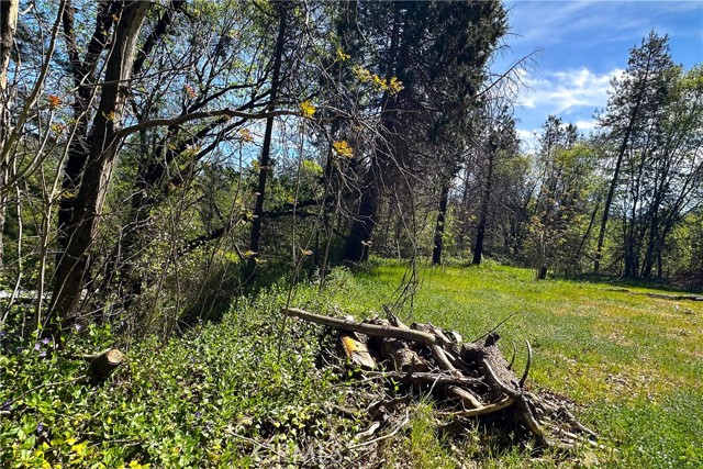 Detail Gallery Image 3 of 29 For 21138 Big Oak Ln, Lakehead,  CA 96051 - – Beds | – Baths