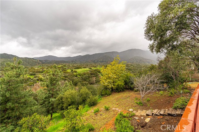 View from patio