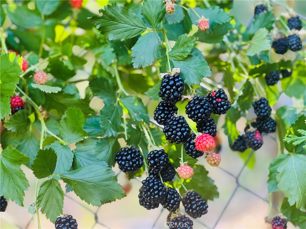 https://media.crmls.org/medias/dd960791-4f5f-4a33-9d2e-8defbdb89b0f.jpg?preset=X-Large