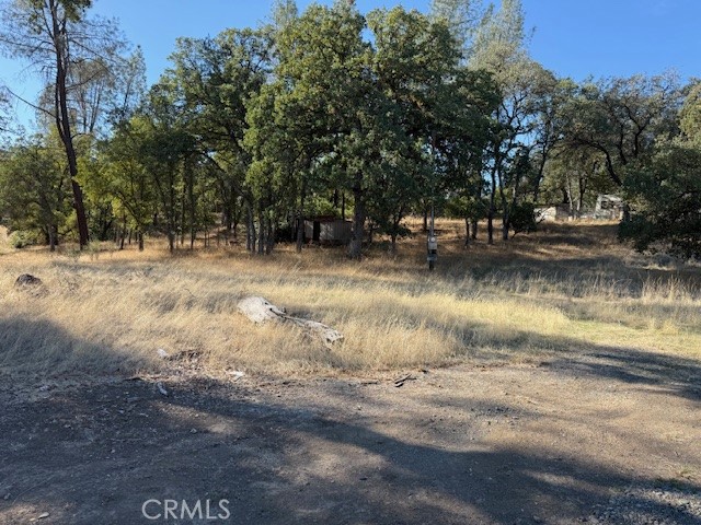 Front Image Thumbnail for CRSN25224880