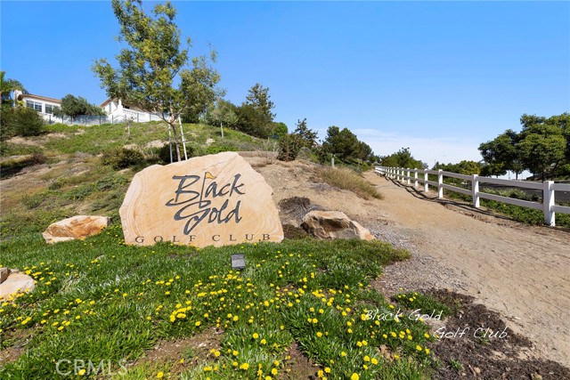 Detail Gallery Image 53 of 56 For 17191 Coriander Ct, Yorba Linda,  CA 92886 - 3 Beds | 2/1 Baths