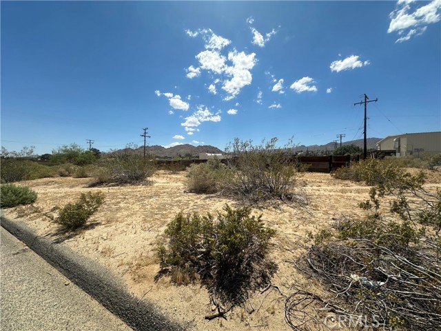 Joshua Tree, CA 92252