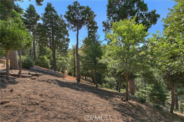 1040 Mile High Road, Twin Peaks CA: https://media.crmls.org/medias/ddb724b4-694e-4728-b987-1b9676e8d663.jpg