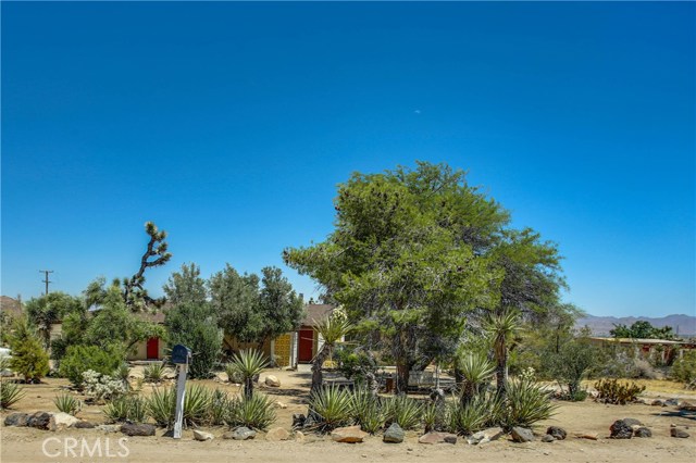 Detail Gallery Image 8 of 63 For 5407 Paradise View Rd, Yucca Valley,  CA 92284 - 3 Beds | 2 Baths