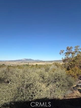 MLS #SW25227735 image #5