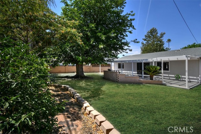Back yard in the winter and spring
