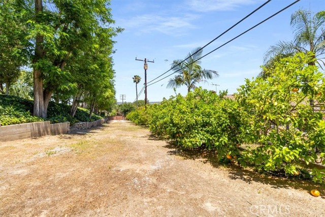 Detail Gallery Image 42 of 62 For 251 S Quintana Dr, Anaheim Hills,  CA 92807 - 4 Beds | 2 Baths
