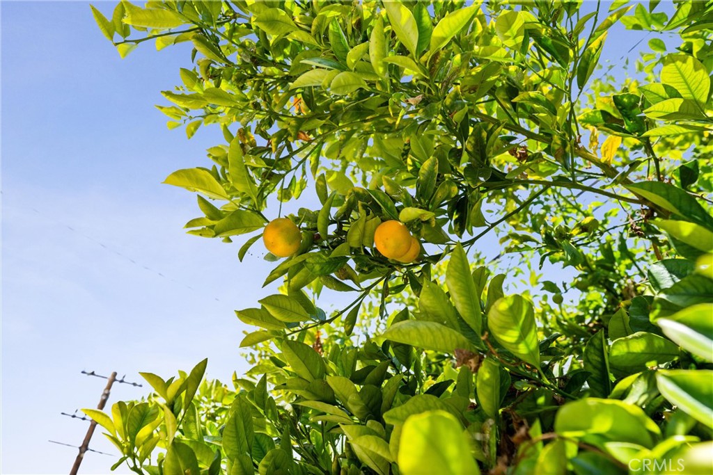 https://media.crmls.org/medias/ddcbf0e9-85cc-4aa4-9692-0f760da5f0b7.jpg?preset=X-Large