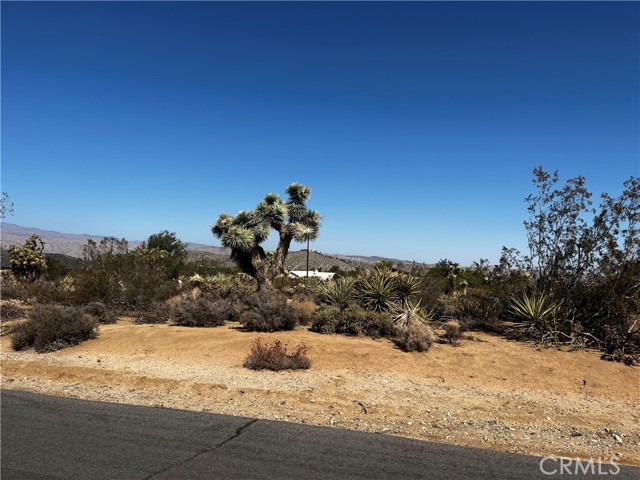 58210 Lisbon, Yucca Valley, CA, 92284 58210 Lisbon, Yucca Valley, CA, 92284