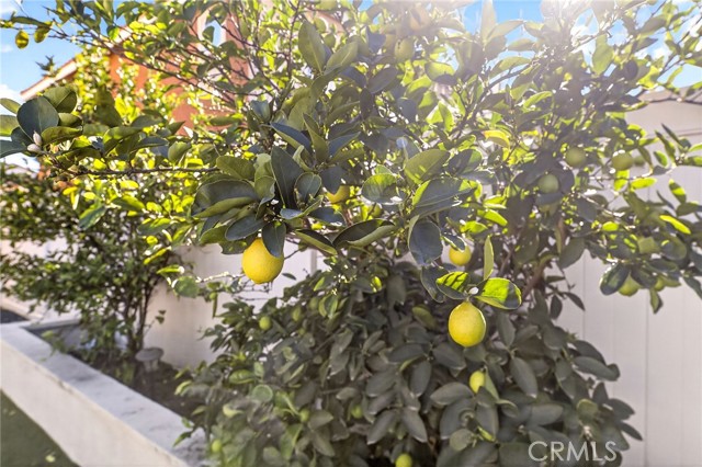 Detail Gallery Image 44 of 54 For 36696 Pavic Ct, Lake Elsinore,  CA 92532 - 4 Beds | 3 Baths