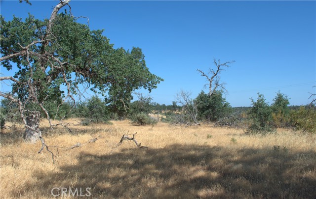 Detail Gallery Image 3 of 4 For 0 Small Farms Dr, Igo,  CA 96047 - – Beds | – Baths