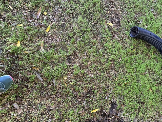 Front Image Thumbnail for CRSR26025763