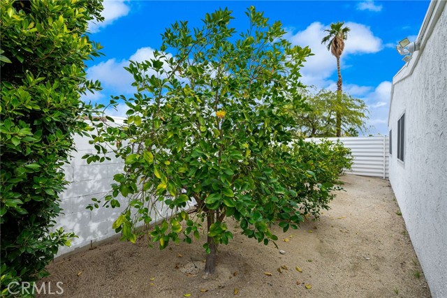 Detail Gallery Image 43 of 51 For 2303 N Magnolia, Palm Springs,  CA 92262 - 4 Beds | 2 Baths